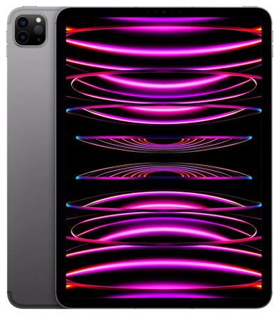 Apple iPad Pro 11.0 4.Gen 2TB WiFi Grey