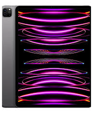 Apple iPad Pro 12.9 6.Gen 256GB 8GB RAM Cellular Grey