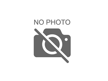 Jaybird Vista 2 Nimbus Grey