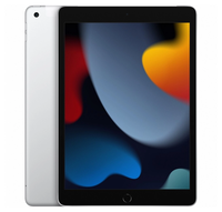 Apple iPad 10.2 9th Gen 256GB Silver WiFi