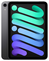 Apple iPad Mini 8.3 7.Gen 256GB Wi-Fi Space Gray