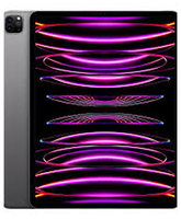 Apple iPad Pro 12.9 6.Gen 256GB 8GB RAM Cellular Grey