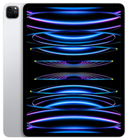 Apple iPad Pro 12.9 6.Gen 256GB 8GB RAM Cellular Silver