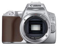 Canon EOS 250D Body Silver