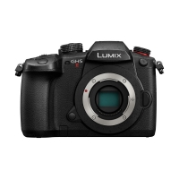 Panasonic Lumix DC-GH5 II Body