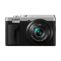 Panasonic Lumix DMC-TZ95 Silver