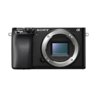 Sony Alpha a6100 Body