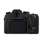 Panasonic Lumix DC-FZ1000 II