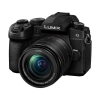 Panasonic Lumix DC-G95 with 12-60mm Lens