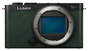 Panasonic Lumix S9 Body Green